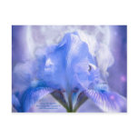 Iris In The Moonlite Art Postcard