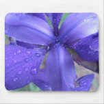 Iris mousepad