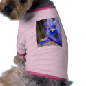Iris Petals pet clothing