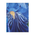 Iris Postcard