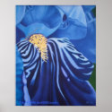 Iris Poster posters