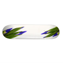 Iris Skate Boards