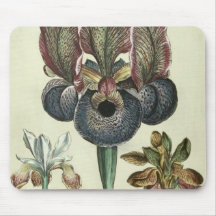 Iris susiana major and Iris bisantina angustifolia Mouse Pad