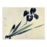 Iris? Ukiyo-e. Post Cards
