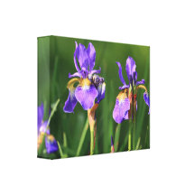 Iris Wrapped Canvas Canvas Prints