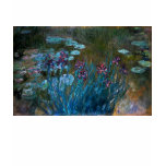 Irises and Water Lilies, Claude Monet t-shirts