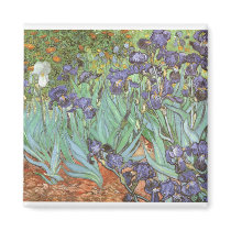 Irises by Vincent van Gogh