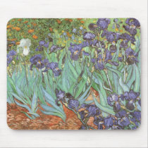 Irises by Vincent van Gogh
