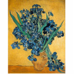 Irises by Vincent van Gogh photo sculptures