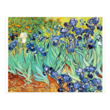 Irises by Vincent Van Gogh Post Card