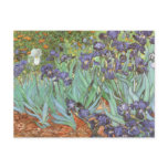 Irises by Vincent van Gogh postcards
