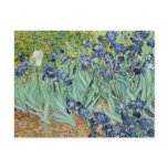 Irises by Vincent van Gogh Post Cards