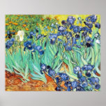 Irises by Vincent Van Gogh Print