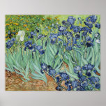 Irises by Vincent van Gogh Print