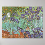 Irises by Vincent van Gogh, Vintage Fine Art Print