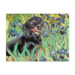 Irises - Dachsund (BT4) postcards