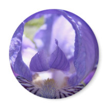 IRISES IRIS FLOWERS 17 Cards Art Gifts Mugs
