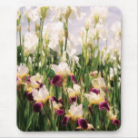 Irises - Mildred Presby 1923 Mouse Pads