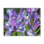 Irises Post Card