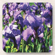 Irises Princess Royal Smith Drink Coaster