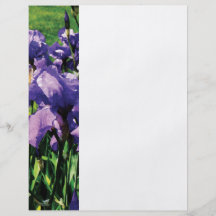 Irises Princess Royal Smith Full Color Flyer