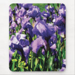 Irises Princess Royal Smith Mousepad