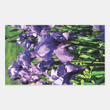 Irises Princess Royal Smith Rectangular Sticker