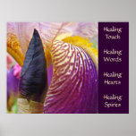 Irises prints Healing Touch Words Hearts Spirits