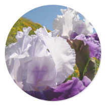 Irises Purple White stickers Summer Iris Flowers