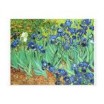 Irises - Vincent Van Gogh (1889) Postcard