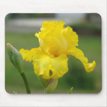 IRISES Yellow Iris Flowers MOUSE PADS MOUSEPAD