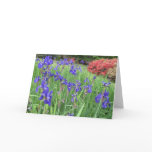 Irish and Azalea Notecards