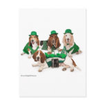Irish Basset hound quartet Post Cards