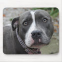 Irish Blue Staffordshire Terrier Dog Mouse Pad mousepads