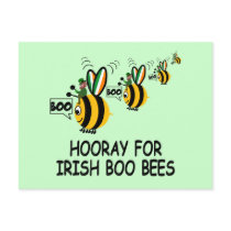 Irish boobies