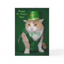 Irish Bubba Kitty Blessing