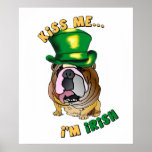 Irish Bulldog Poster Print