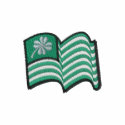 irish flag lucky clover embroidered shirts