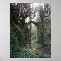 Irish Garden Gate posters