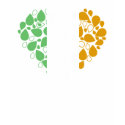 Irish Heart t-shirts