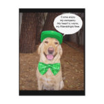 Irish Lab Saying postcards