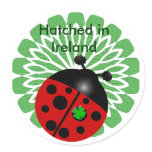 irish ladybug