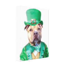 Irish Pitbull Dog Stretched Canvas Print