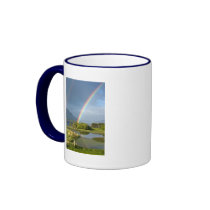 Irish Rainbow Mug