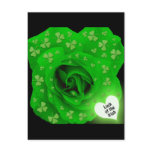 Irish Rose - Luck of the Irish postcards