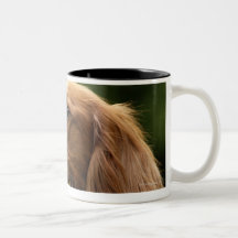 Irish Setter 2 Coffee Mugs