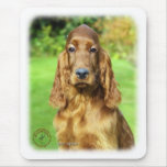 Irish Setter 9T004D-312 mousepads