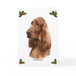 Irish Setter 9Y177D-97