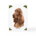 Irish Setter 9Y177D-97 cards