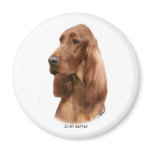 Irish Setter 9Y177D-97 magnets